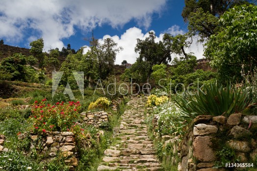 Picture of Inca stairs at Isla del Sol